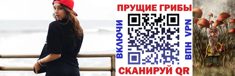 ОМГ ОМГ ССЫЛКА  Елизово  Галлюциногенные грибы ЛСД 