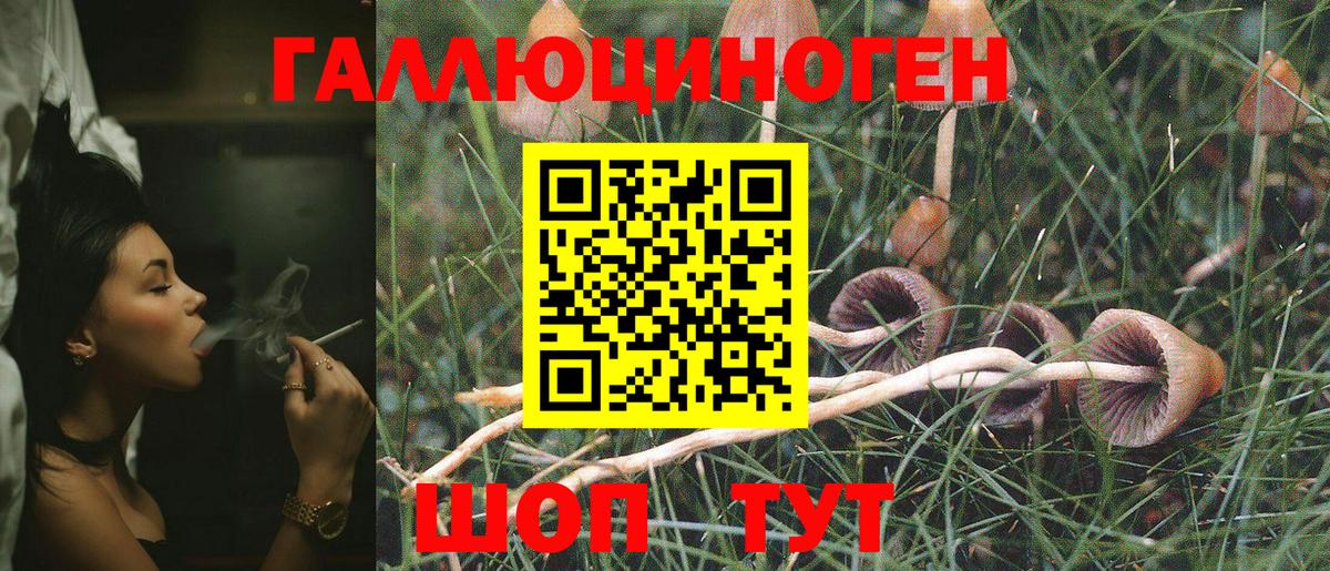 Галлюциногенные грибы ЛСД  Вход с VPN  Елизово 